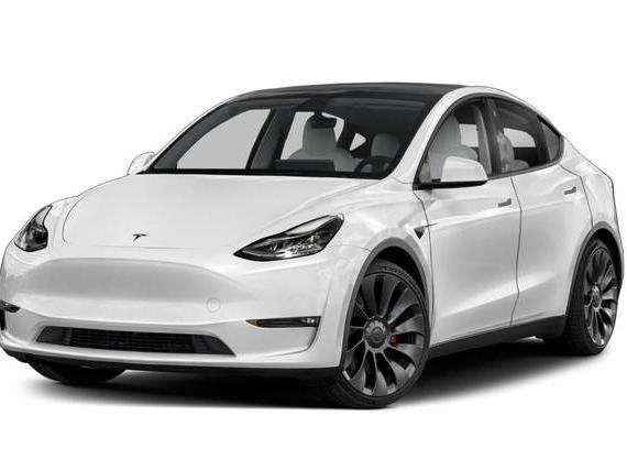 TESLA MODEL Y 2023 7SAYGDEE8PF788891 image